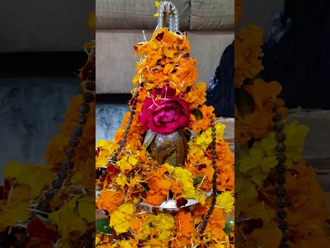 youtube-video-thumbnail