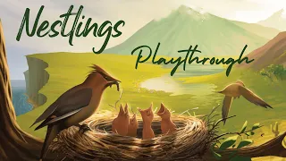 Birbs | Nestlings Playthrough