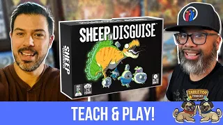 Sheep in Disguise: The Action Doesn't Stop Until All the Flocks Are Collected!