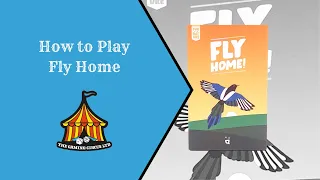 Fly Home - Board Game - How to Play Video