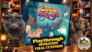 Good Kitties Mission 1 | Operation Viral Cuteness Playthrough!