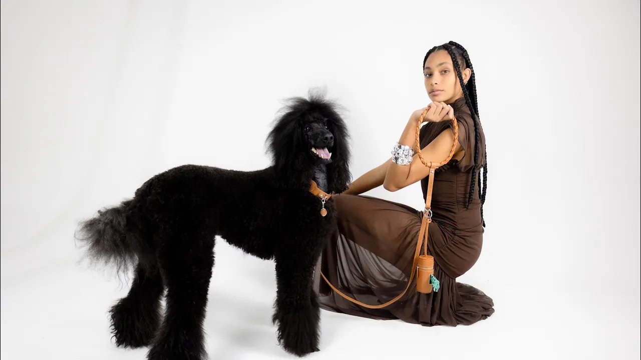 Vídeo de corazzapet