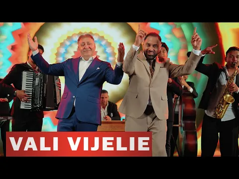 Vali Vijelie