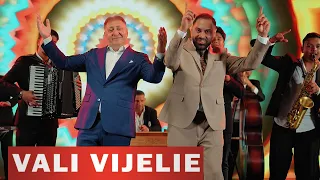 Vali Vijelie ㄨ Florin Miroslav - Sus paharul (Officia video) 2026