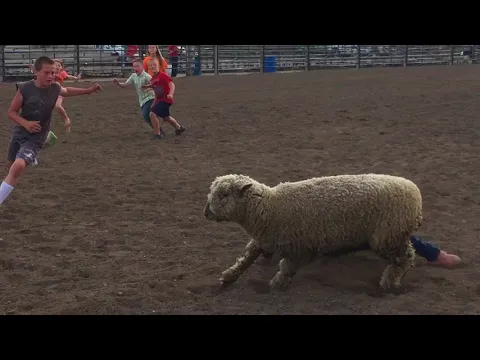 Rodeo Video