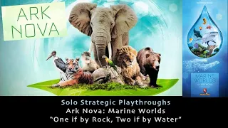 Ark Nova Marine Worlds - Solo Strategic Playthrough