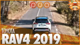 TOYOTA RAV4 N°5・LE BON NUMERO ?