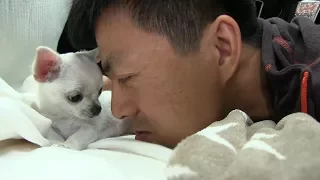 #42 Dolly's first road trip