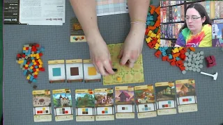 All the Games with Steph: Tiny Towns! Solo Game - AEG