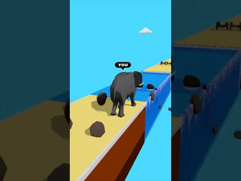 Animal Transform videó