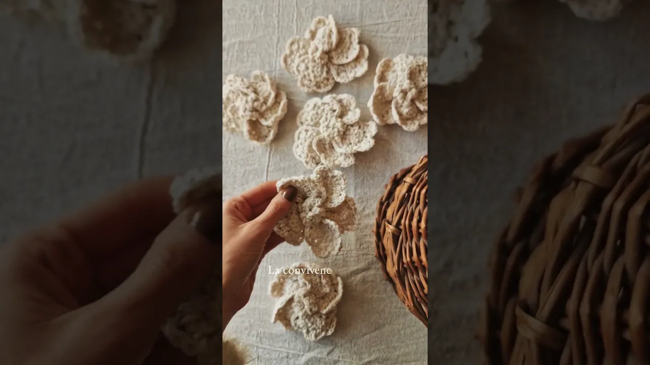 Video de Brote Handmade
