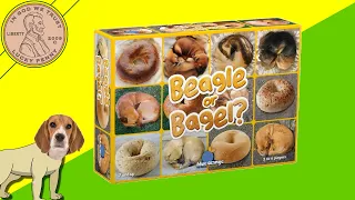 How To Play The Game Beagle Or Bagel Family Card Game Play