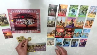 Serengeti Sanctuary solo play-through