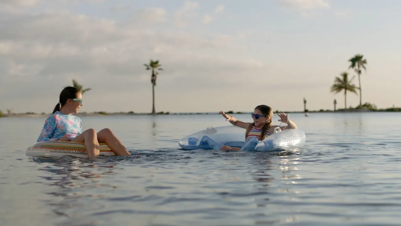 Belleza natural en Matheson Hammock Park