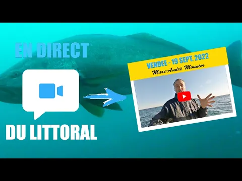 Vignette de la vidéo