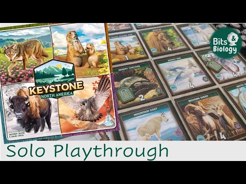 Keystone: North America Solo Playthrough
