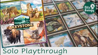 Keystone: North America Solo Playthrough