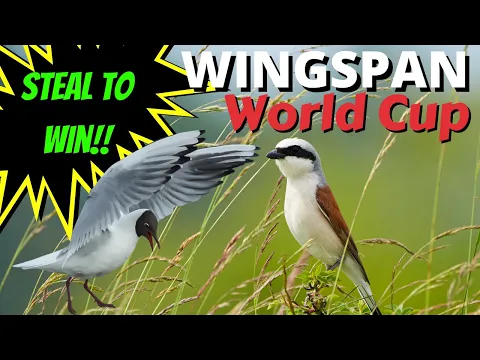 Stealing The Victory! Shrike vs Gull! Wingspan Tournament: World Cup vs Bargoff