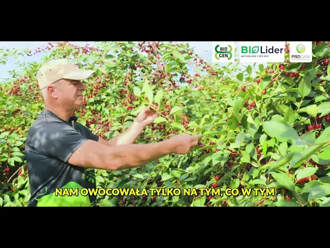 youtube-video-thumbnail