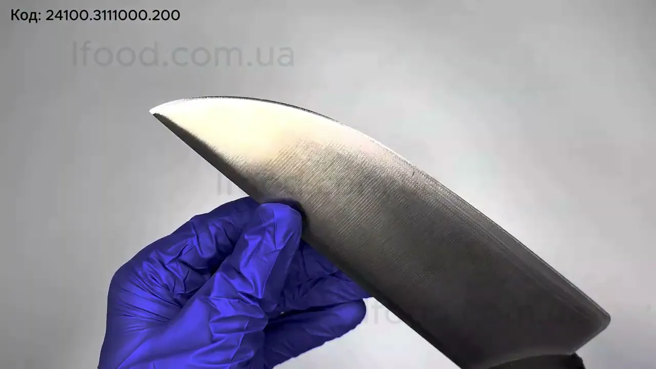 Нож мясника Icel Poly 200 мм черный 24100.3111000.200