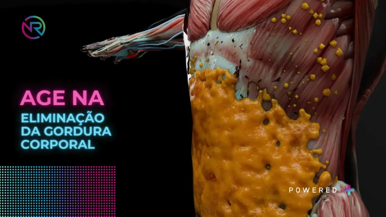 Video de Reis Emagrecedores