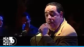 Amado Mio, José Papo Rivera - En Vivo