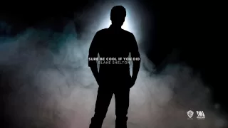 Blake Shelton - Sure Be Cool If You Did (Official Audio)