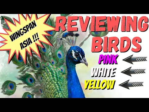 Wingspan Asia Bird Reviews: Pink / White / Yellow Powers