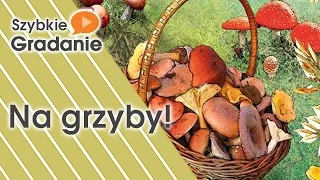 Gradanie ZnadPlanszy - intructional / presentation