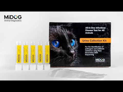 youtube-video-thumbnail