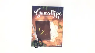 Genotype: A Mendelian Genetics Game