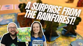A fun surprise! - Hutan: Life in the rainforest - Board Game Review