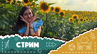 Развлекаюсь в соло в настольную игру "Три сестры" (Solo game Three sisters)