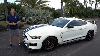 Is the 2020 Ford Shelby GT350R Heritage Edition the PERFECT Mustang?