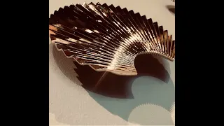 AYTM Concha Shell Hook, Gold product video.