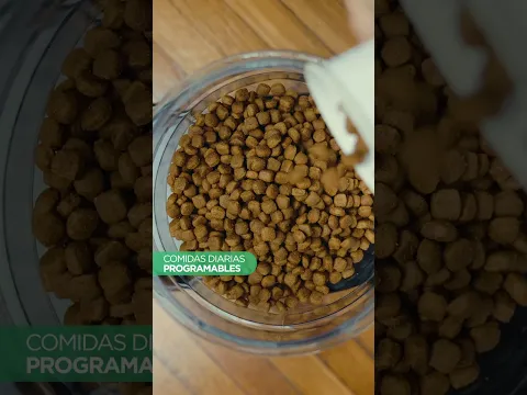 video_PETAUT01