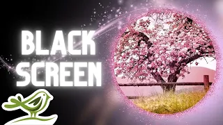 Our Journey | Black Screen & Relaxing Piano Music for Sleep by Peder B. Helland