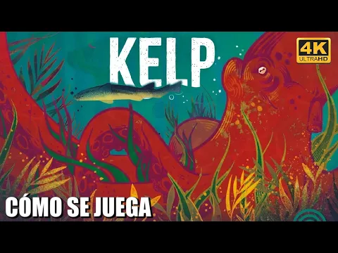 Kelp: Tiburón vs. Pulpo | Tutorial