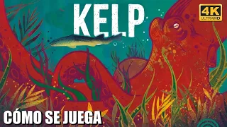 Kelp: Tiburón vs. Pulpo | Tutorial