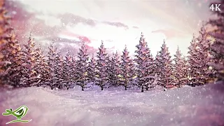 Silent Night • Instrumental Christmas Song (4K)
