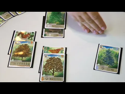 Mischwald (Lookout Games / asmodee) / Herner Spielewahnsinn 2023 / Essen 2023