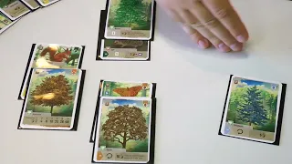 Mischwald (Lookout Games / asmodee) / Herner Spielewahnsinn 2023 / Essen 2023
