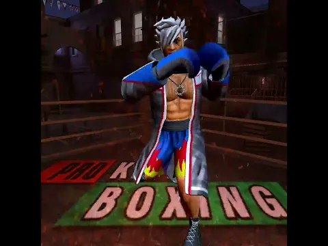Video de Kick Boxing