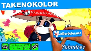 La Videoregle Complète de Takenokolor en 4 K