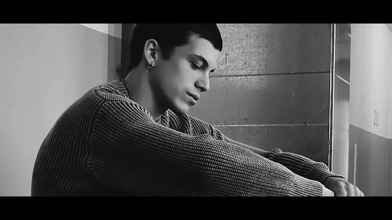 Video de White Shark