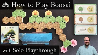 How to Play Bonsai Solo with Playthrough