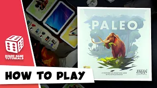 Paleo | How To Play | Board Game