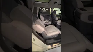 The Electric Car With a BIG Personality