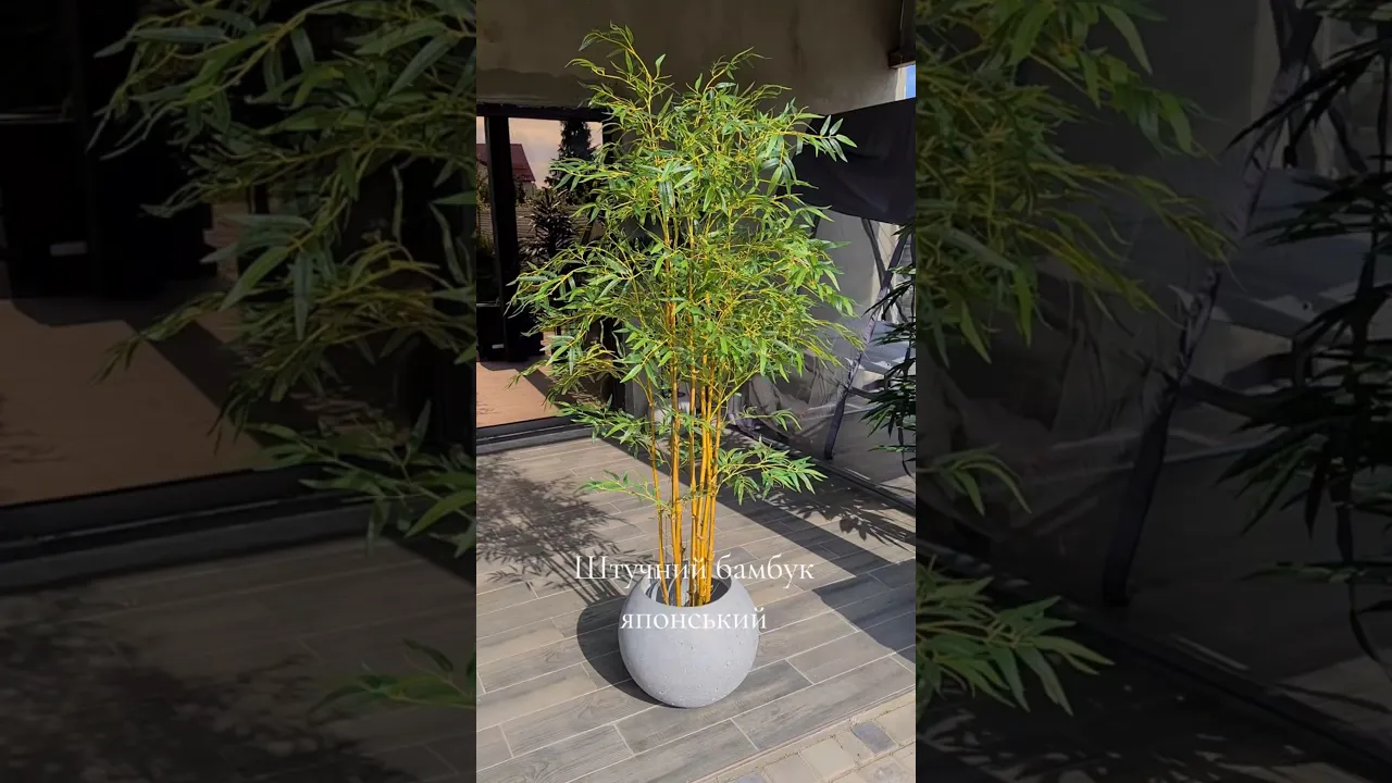 Искусственное растение Bamboo Japanese / Бамбук Японский H180cm NKoop EEG