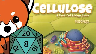 Cellulose | Review